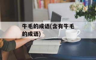 牛毛的成语(含有牛毛的成语)