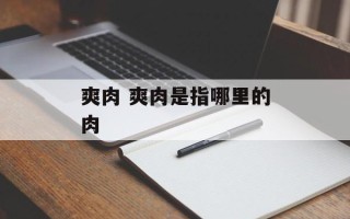爽肉 爽肉是指哪里的肉