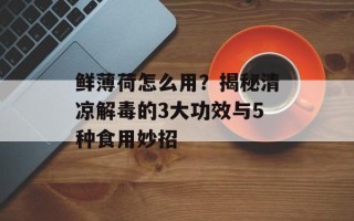 鲜薄荷怎么用？揭秘清凉解毒的3大功效与5种食用妙招