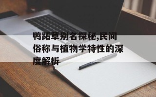 鸭跖草别名探秘,民间俗称与植物学特性的深度解析