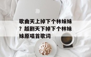 歌曲天上掉下个林妹妹？越剧天下掉下个林妹妹原唱首歌词