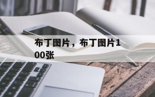布丁图片，布丁图片100张