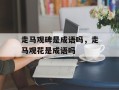 走马观碑是成语吗，走马观花是成语吗
