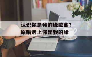 认识你是我的缘歌曲？原唱遇上你是我的缘
