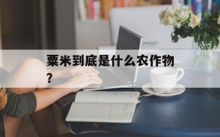 粟米到底是什么农作物？