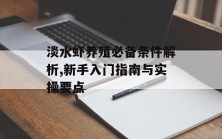 淡水虾养殖必备条件解析,新手入门指南与实操要点