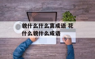 貌什么什么离成语 花什么貌什么成语