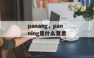 panang，panning是什么意思