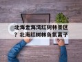 北海金海湾红树林景区？北海红树林负氧离子