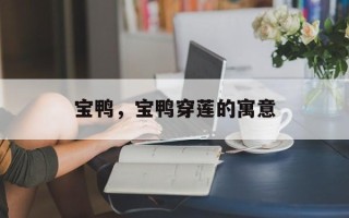宝鸭，宝鸭穿莲的寓意