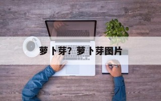 萝卜芽？萝卜芽图片