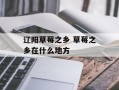 辽阳草莓之乡 草莓之乡在什么地方