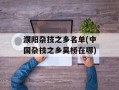 濮阳杂技之乡名单(中国杂技之乡吴桥在哪)