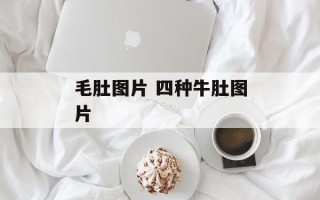 毛肚图片 四种牛肚图片