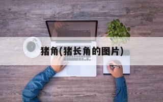 猪角(猪长角的图片)