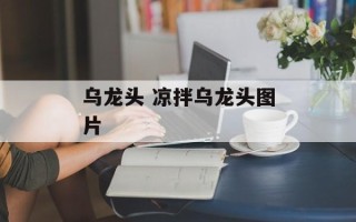 乌龙头 凉拌乌龙头图片