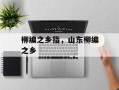 柳编之乡指，山东柳编之乡