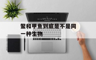 鳖和甲鱼到底是不是同一种生物
