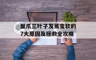 蟹爪兰叶子发蔫变软的7大原因及拯救全攻略