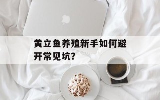 黄立鱼养殖新手如何避开常见坑？