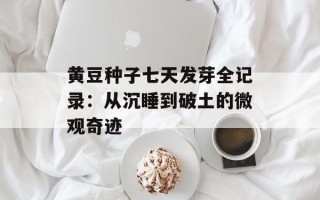 黄豆种子七天发芽全记录：从沉睡到破土的微观奇迹