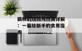 藕粉的功效与作用详解：一篇给新手的食用指南