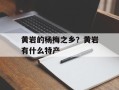 黄岩的杨梅之乡？黄岩有什么特产