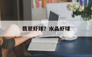 翡翠虾球？水晶虾球