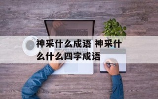 神采什么成语 神采什么什么四字成语