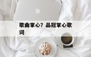 歌曲掌心？品冠掌心歌词