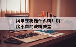 风车生粉是什么粉？厨房小白的淀粉救星