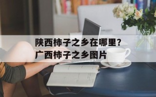 陕西柿子之乡在哪里？广西柿子之乡图片