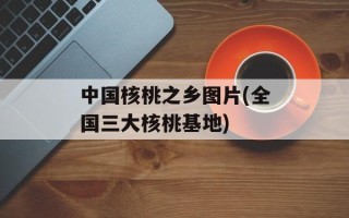 中国核桃之乡图片(全国三大核桃基地)