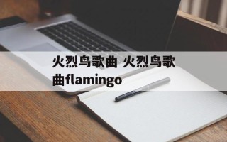 火烈鸟歌曲 火烈鸟歌曲flamingo