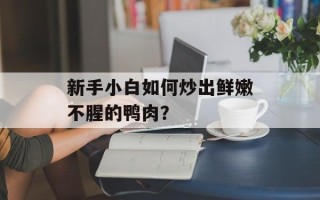 新手小白如何炒出鲜嫩不腥的鸭肉？