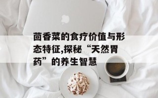 茴香菜的食疗价值与形态特征,探秘“天然胃药”的养生智慧