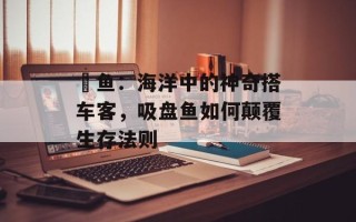 鮣鱼：海洋中的神奇搭车客，吸盘鱼如何颠覆生存法则
