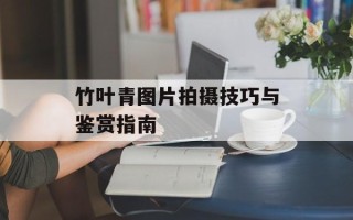 竹叶青图片拍摄技巧与鉴赏指南