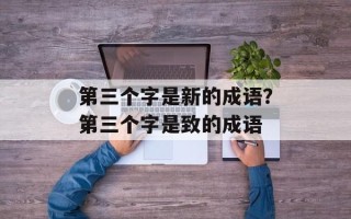 第三个字是新的成语？第三个字是致的成语