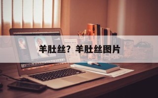 羊肚丝？羊肚丝图片