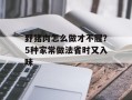 野猪肉怎么做才不腥？5种家常做法省时又入味