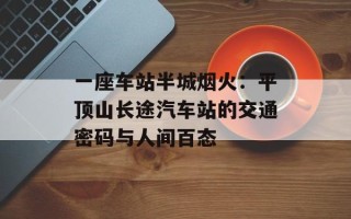 一座车站半城烟火：平顶山长途汽车站的交通密码与人间百态