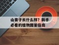 山姜子长什么样？新手必看的植物图鉴指南