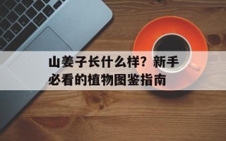 山姜子长什么样？新手必看的植物图鉴指南