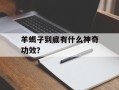 羊蝎子到底有什么神奇功效？