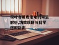 荷叶冬瓜皮泡水的禁忌解析,功效误区与科学搭配指南