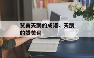赞美天鹅的成语，天鹅的赞美词