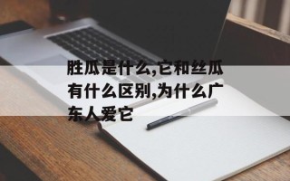胜瓜是什么,它和丝瓜有什么区别,为什么广东人爱它