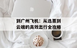 到广州飞机：从选票到云端的高效出行全攻略