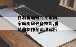 自制番茄酱完全指南,家庭厨房必备技能,番茄酱制作全流程解析